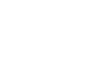 Simbolo enau 1 300x244